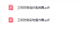 中成伟业三标财务