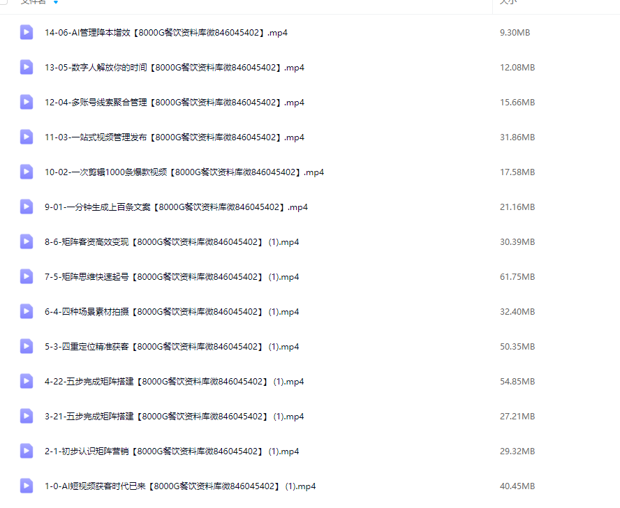 AI短视频矩阵获客实操课，企业低成本精准获客